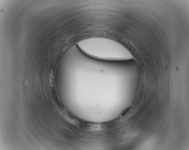X0000087410083200704201031