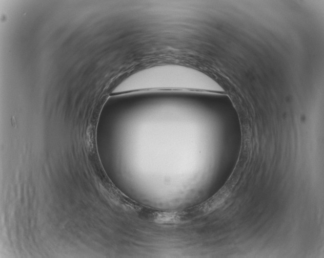 X0000087410088200704201031
