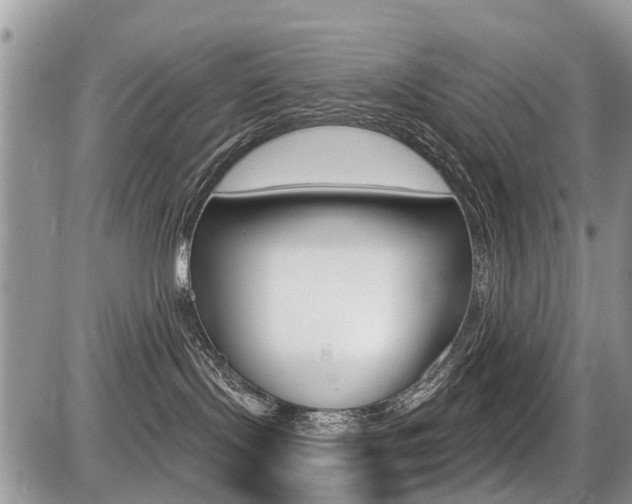 X0000087410095200704201031