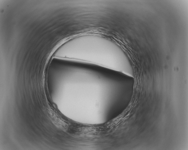 X0000087410100200704201030