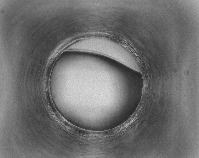X0000087410101200704201030