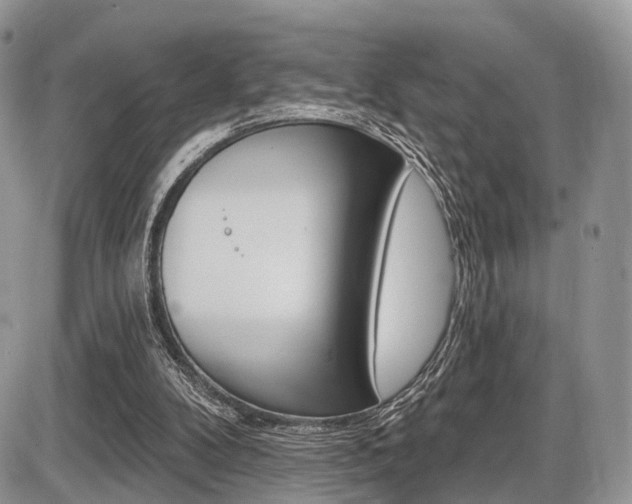 X0000087410104200704201030