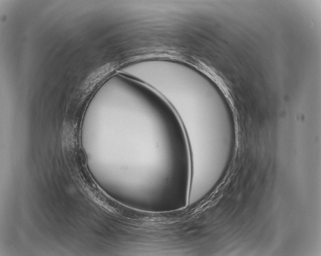 X0000087410105200704201030