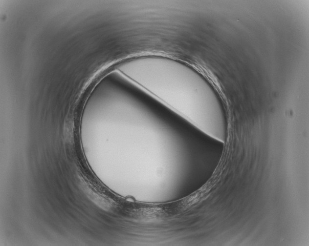 X0000087410108200704201030
