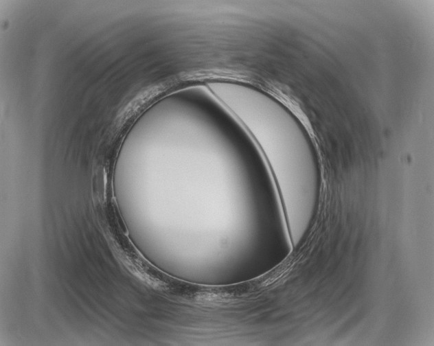X0000087410109200704201030