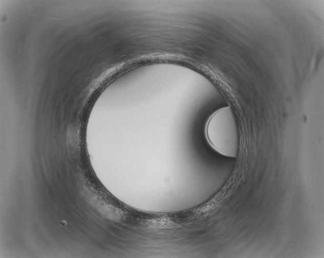 X0000087410112200704201030