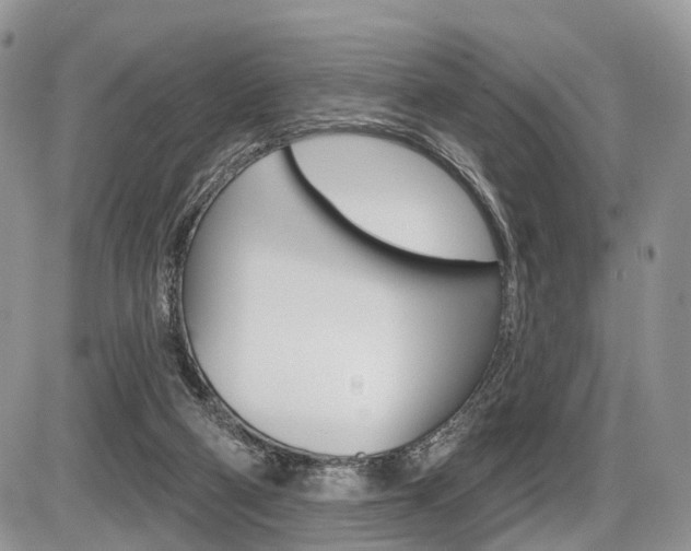 X0000087410114200704201030