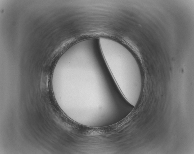 X0000087410115200704201030