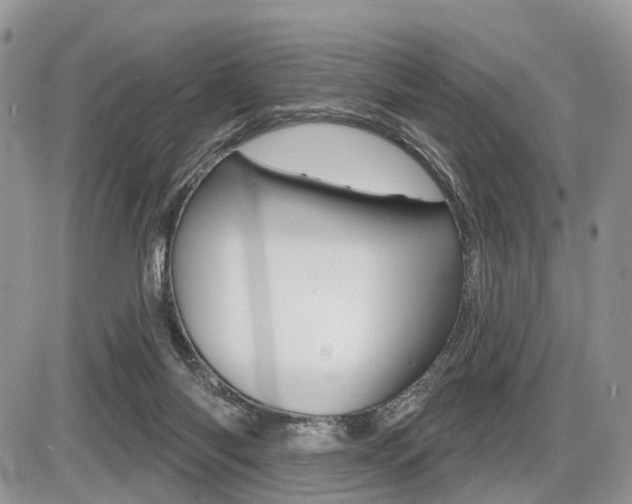 X0000087410118200704201030