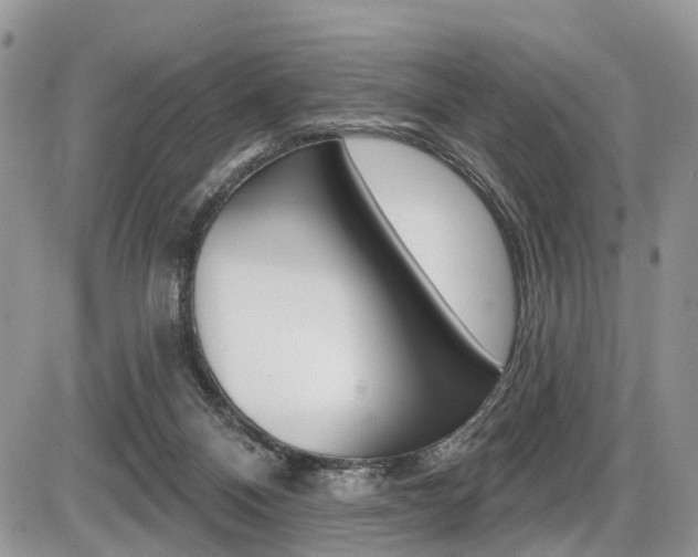 X0000087410120200704201030