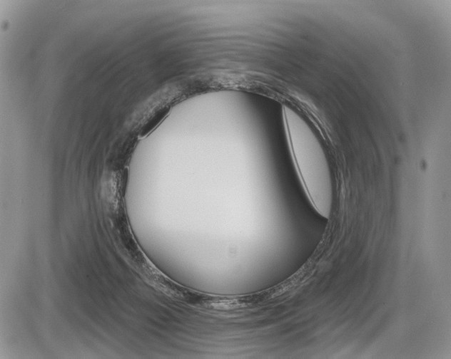 X0000087410121200704201030