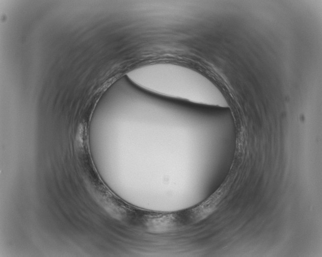 X0000087410122200704201030