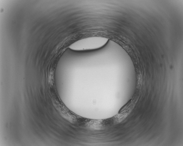 X0000087410138200704201030