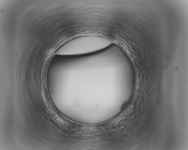 X0000087410145200704201029