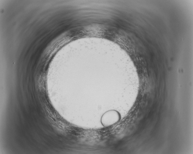 X0000087410146200704201029