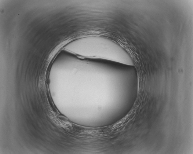 X0000087410147200704201029