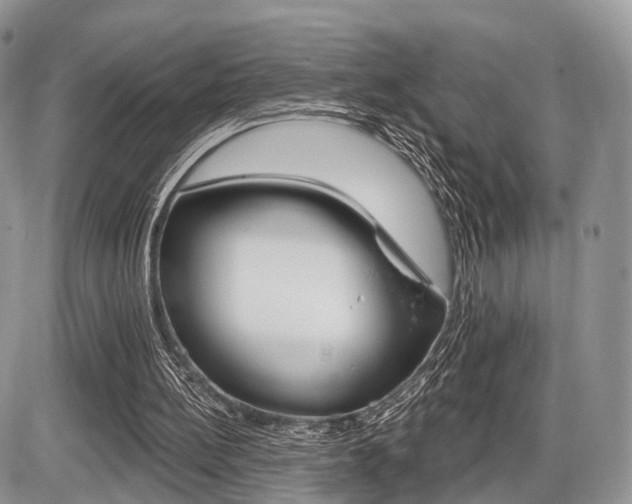 X0000087410148200704201029
