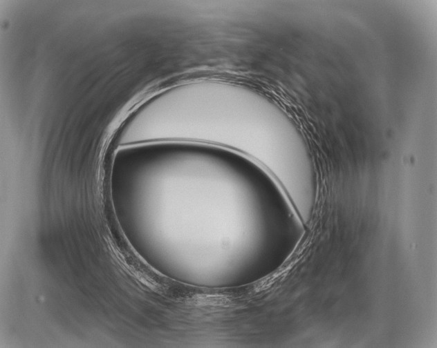 X0000087410150200704201029