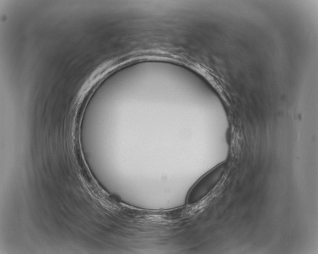 X0000087410151200704201029