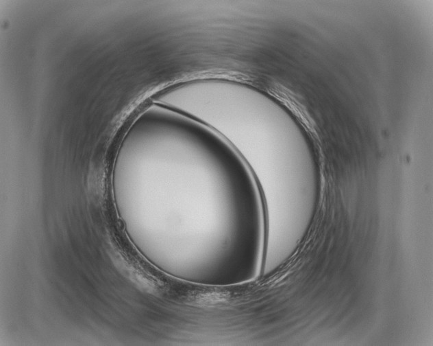 X0000087410156200704201029