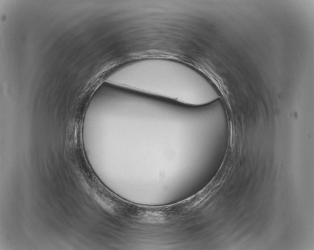 X0000087410157200704201029