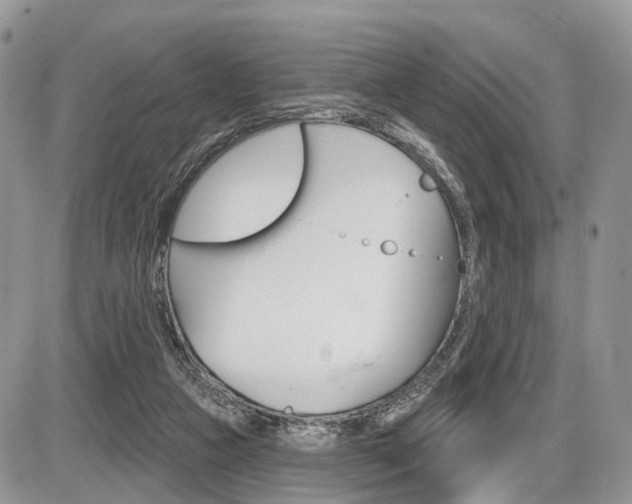 X0000087410161200704201029