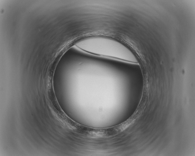 X0000087410164200704201029