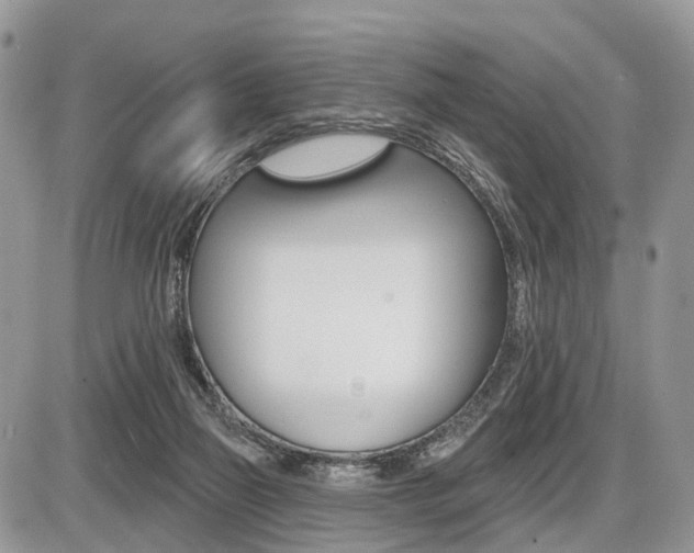 X0000087410165200704201029