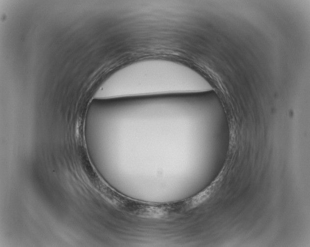 X0000087410166200704201029