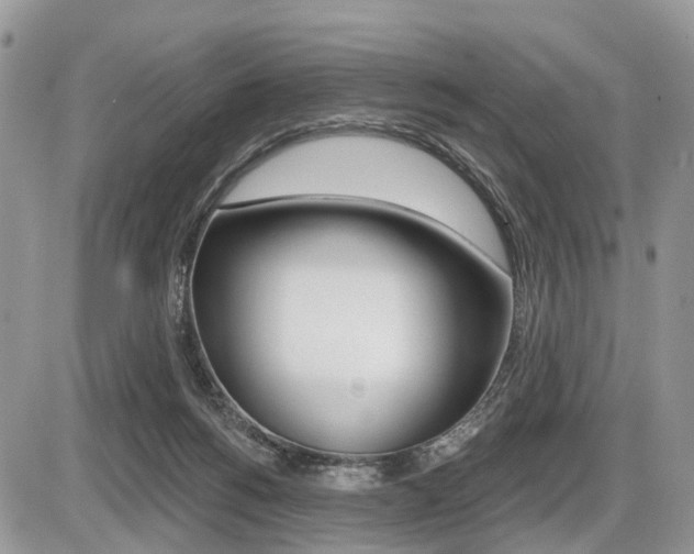 X0000087410168200704201029