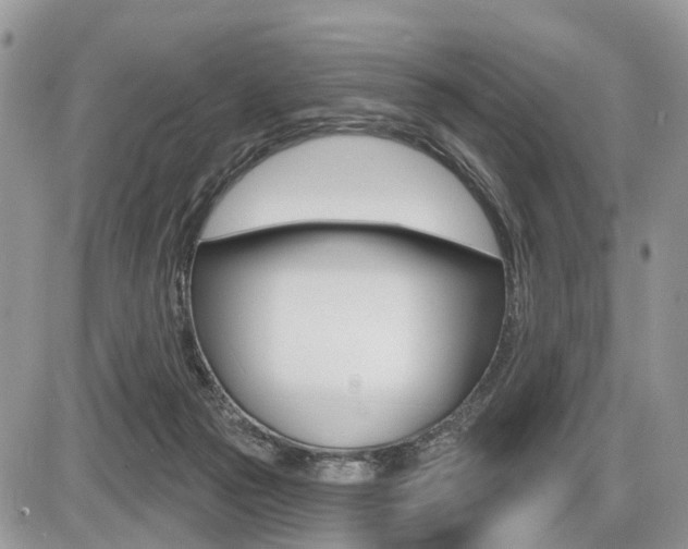 X0000087410169200704201029