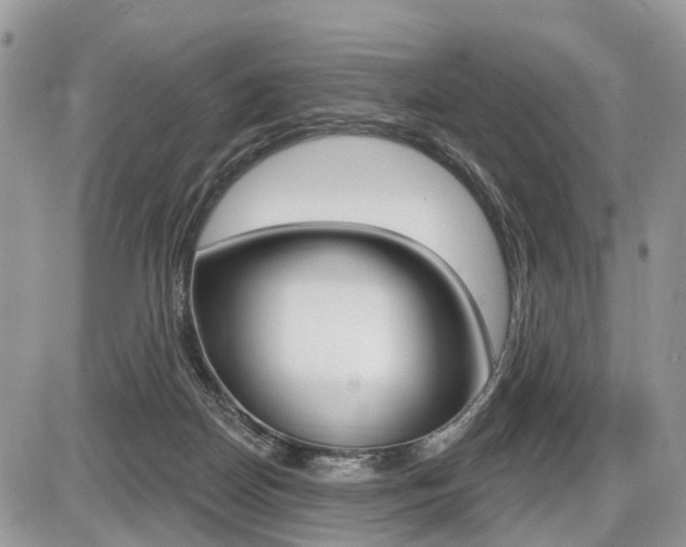 X0000087410170200704201029