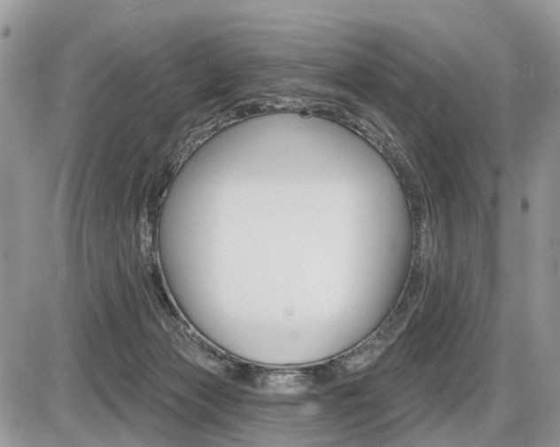 X0000087410173200704201029