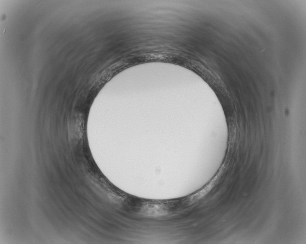 X0000087410174200704201029