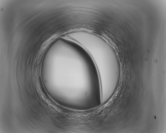 X0000087410193200704201029