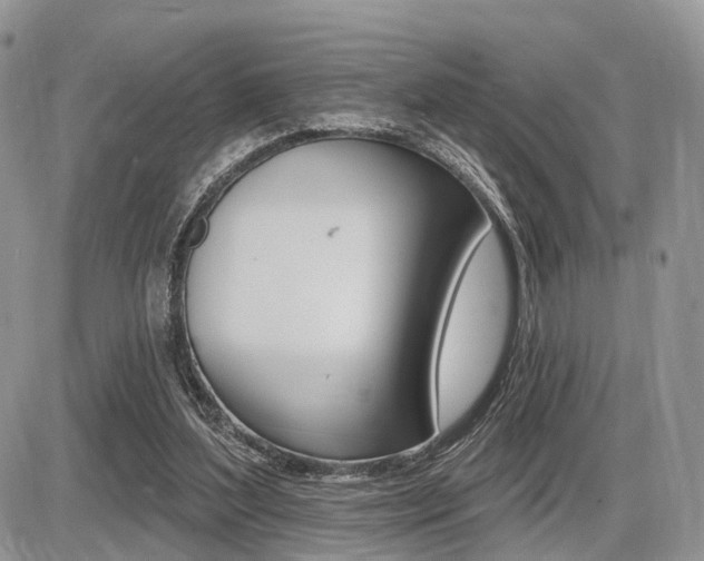 X0000087410204200704201029