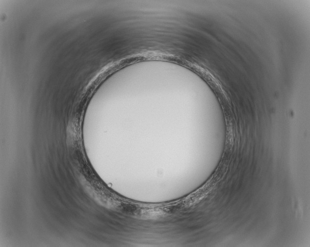 X0000087410208200704201029