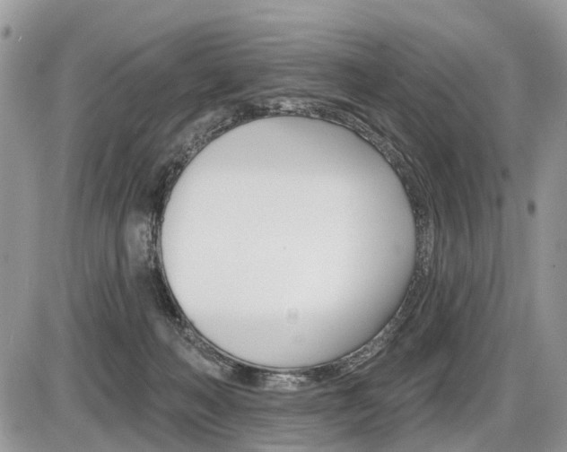 X0000087410222200704201028
