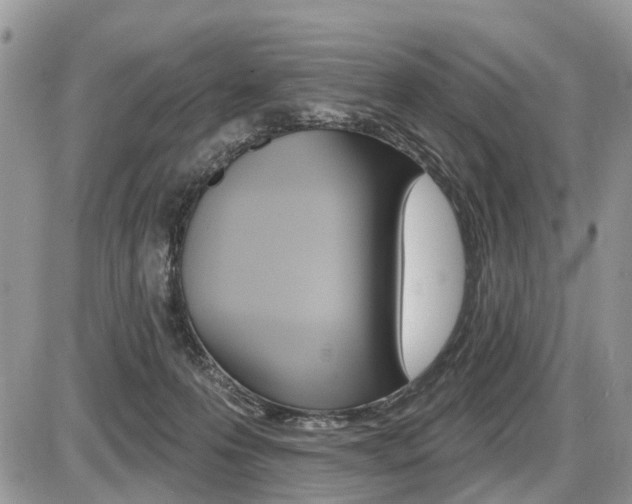 X0000087410223200704201028