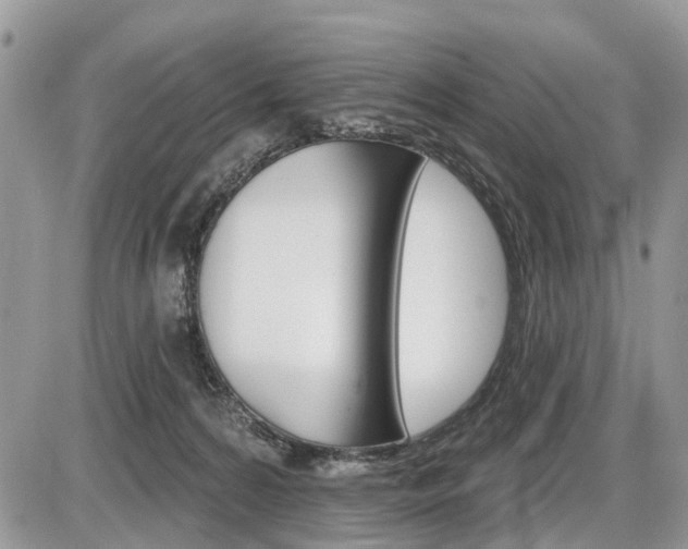 X0000087410224200704201028