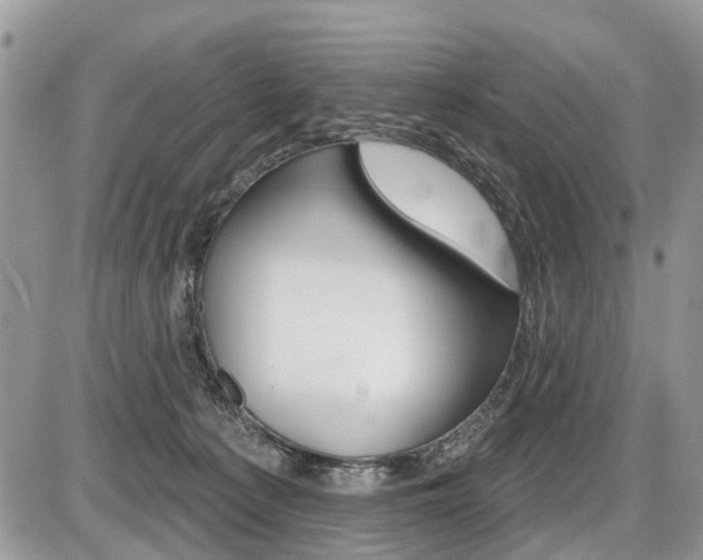 X0000087410225200704201028