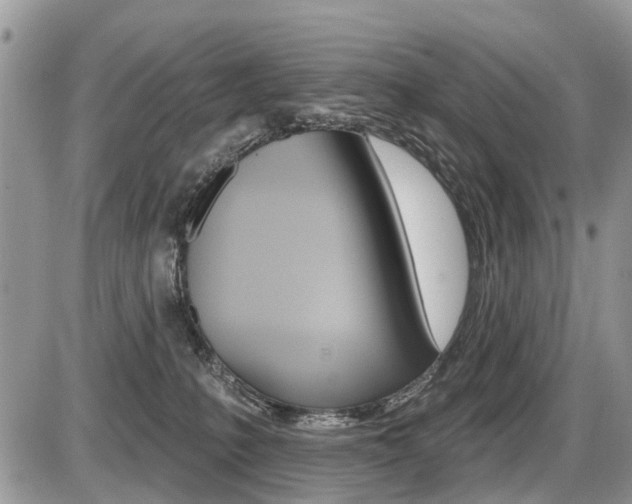 X0000087410231200704201028