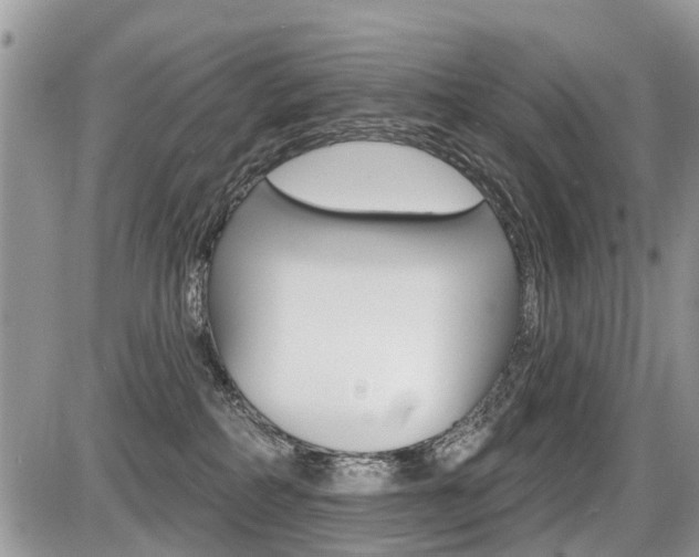 X0000087410234200704201028