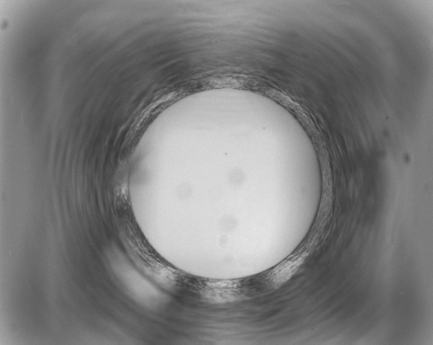 X0000087410240200704201028