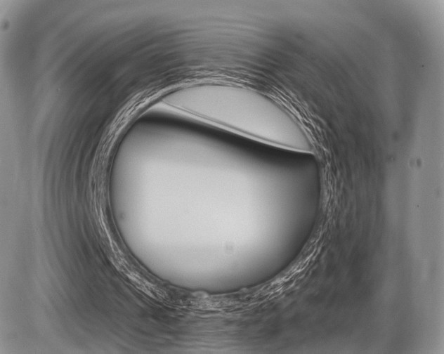 X0000087410241200704201027