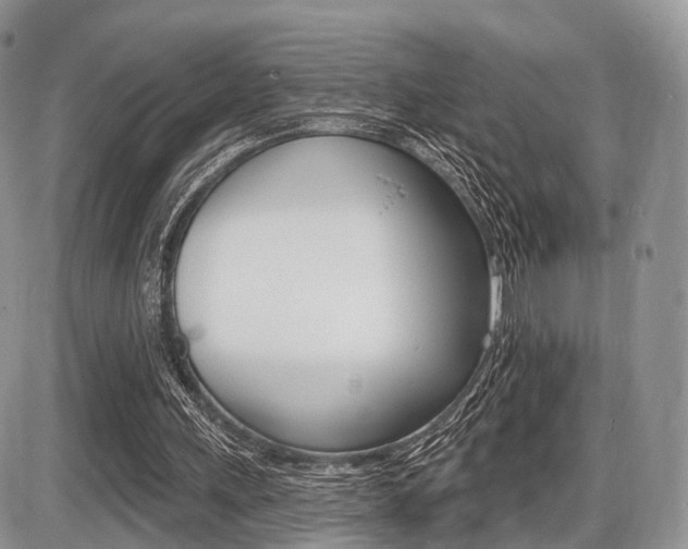 X0000087410243200704201027