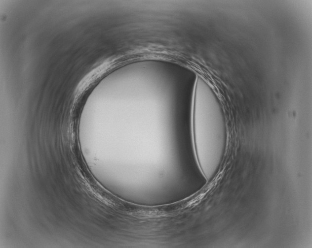 X0000087410245200704201027