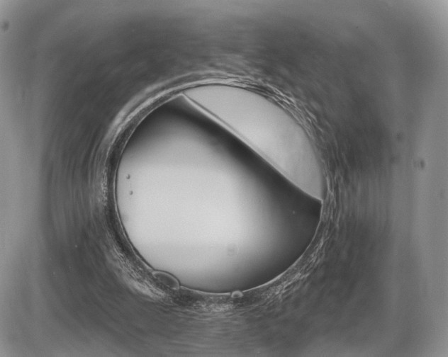X0000087410247200704201027