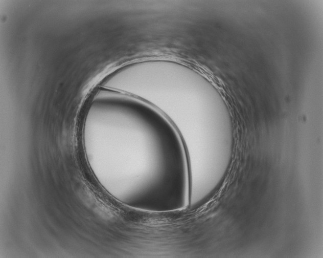 X0000087410248200704201027