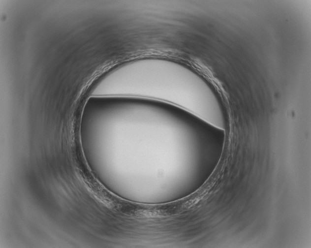 X0000087410250200704201027